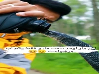 تا حالا آب خوردن مار رو دیده بودید!