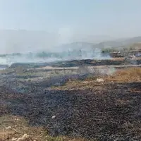 حریق در پارک ملی گلستان مهار شد