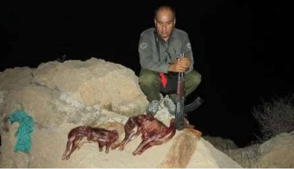 شهادت محیطبان کهگیلویهای در نبرد با سوداگران طبیعت