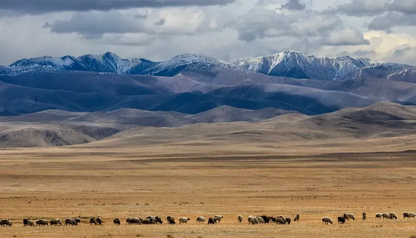 دیگر دیوار بزرگ آسیا؛ کشف بقایای سازه‌ای قرون وسطایی در قلب مغولستان