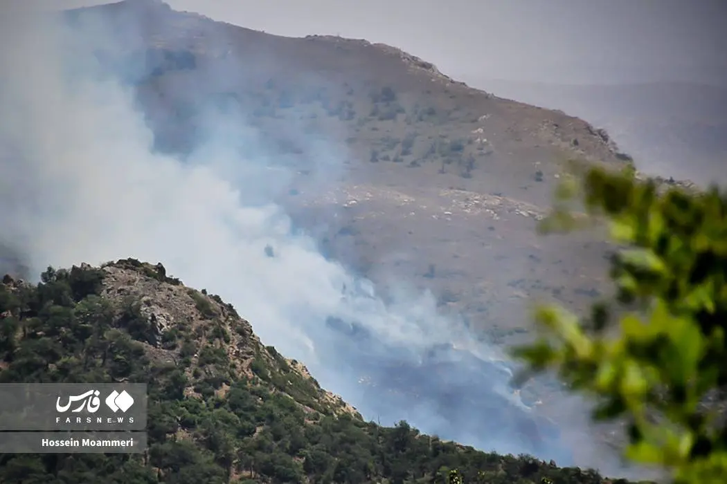 عکس/ آتش‌سوزی پارک ملی گلستان