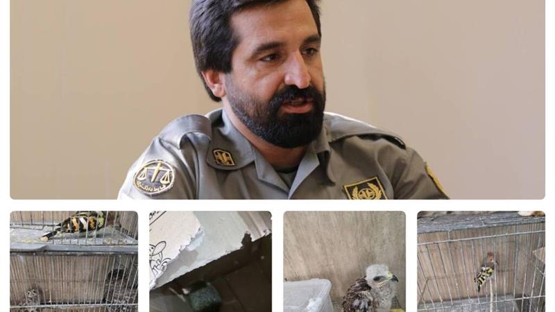 کشف و ضبط پرندگان و جانوران وحشی در بازار خلیج فارس