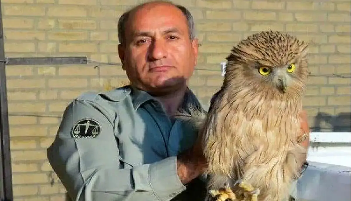 دستور دادستان مرکز استان کهگیلویه و بویراحمد برای شناسایی عاملان قتل «هدایت الله دیده‌بان» محیط‌بان در کوه خاییز