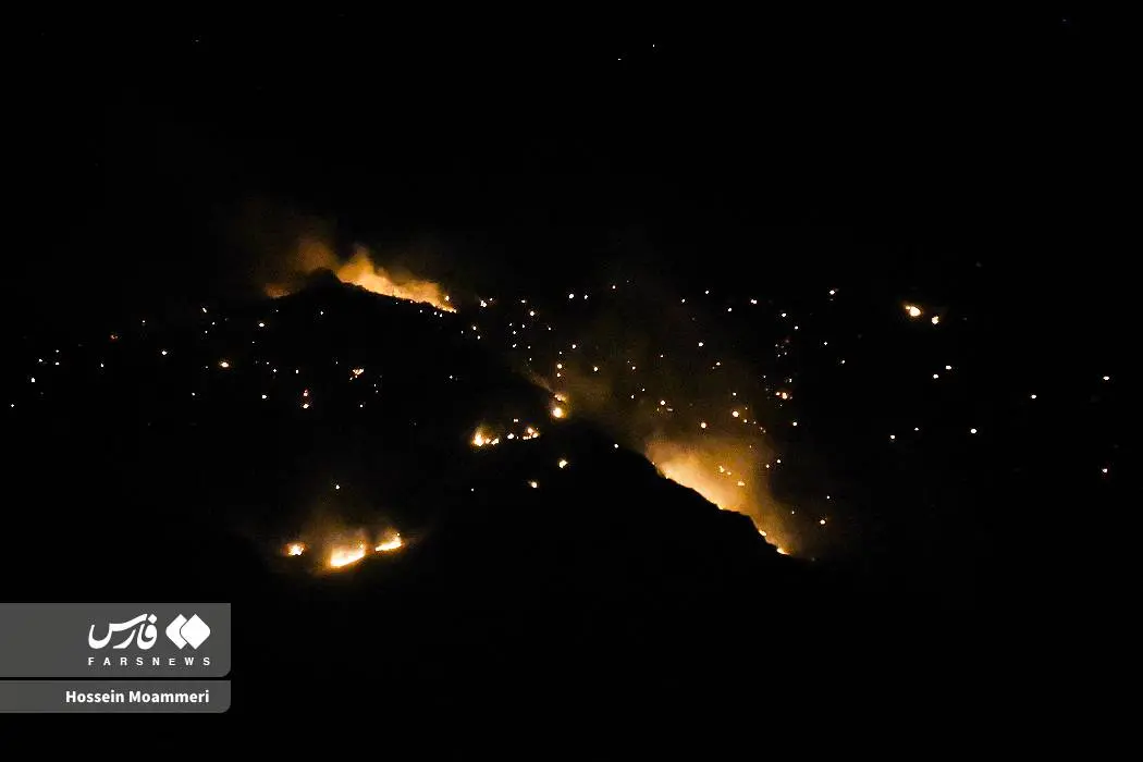 عکس/ آتش‌سوزی پارک ملی گلستان