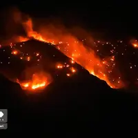 عکس/ آتش‌سوزی پارک ملی گلستان