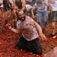 پرواز گوجه‌فرنگی‌ها در جشنواره گران توماتینا