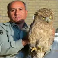 دستور دادستان مرکز استان کهگیلویه و بویراحمد برای شناسایی عاملان قتل «هدایت الله دیده‌بان» محیط‌بان در کوه خاییز