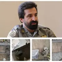 کشف و ضبط پرندگان و جانوران وحشی در بازار خلیج فارس