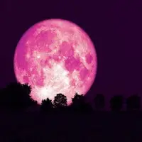 ماه صورتی خرداد ماه را از دست ندهید