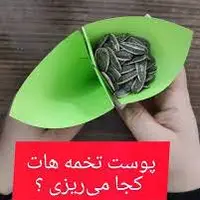 دیگه پوست تخمه هاتو تو ماشین نریز!