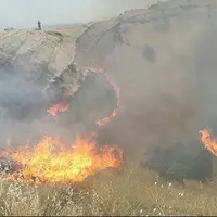 ۴ هکتار از اراضی پارک ملی تندوره طعمه حریق شد
