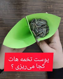 دیگه پوست تخمه هاتو تو ماشین نریز!