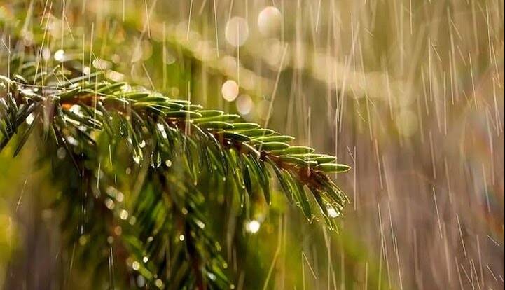 بارشهای رگباری و رعد و برق استان زنجان را فرا می گیرد