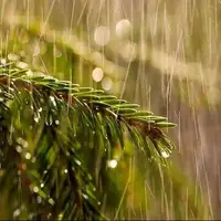 بارش‌های رگباری و رعد و برق استان زنجان را فرا می گیرد