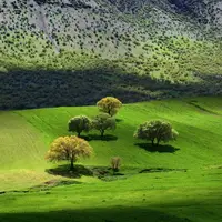 طبیعت زاگرس زیبا  