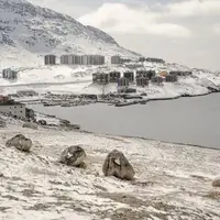 دانمارک حضور نظامی خود در گرینلند را افزایش می‌دهد