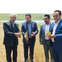 خسارت ۲۹ هزار میلیارد ریالی به کشاورزان هشترودی
