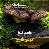  طعم تلخ نوعی قارچ