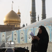 عکس/ قرائت دعای عرفه در حرم حضرت معصومه(س)