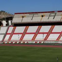چمن ورزشگاه یادگار خارجی خواهد بود