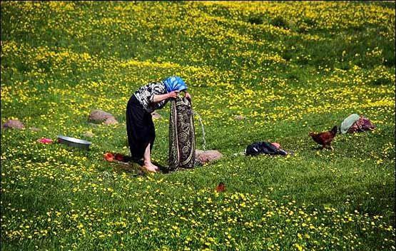 عکس/ عشایر دشت مغان
