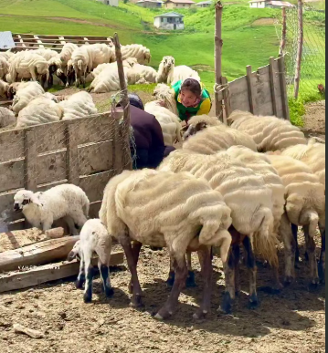 روستای ییلاقی زیبای سوئتون تالش