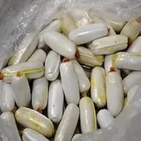 بلع ۸۹۴ گرم هروئین توسط سرنشین اتوبوس مسافربری؛ متهم دستگیر شد