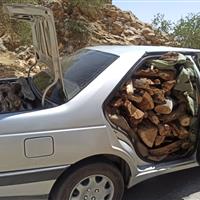 ۳۲ تُن چوب و زغال بلوط قاچاق در فلاورجان توقیف شد