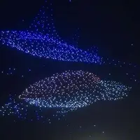 رقص نور پهپادها با الهام از موجودات دریایی