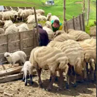 روستای ییلاقی زیبای سوئتون تالش