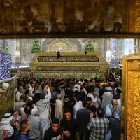 عکس/ حضور زائران در حرم امیرالمومنین در اولین روز از دهه امامت
