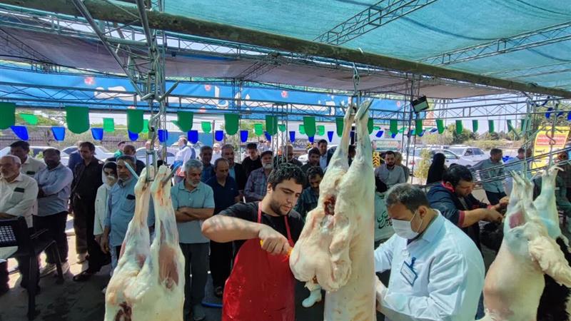 نظارت بر کشتار دام در استان مرکزی؛ ۹۱ عضو داخلی دام از چرخه مصرف خارج شد