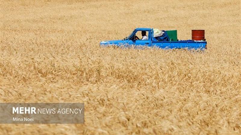 زندگی فعالان حوزه کشاورزی و دام خراسان جنوبی با تنفس مصنوعی
