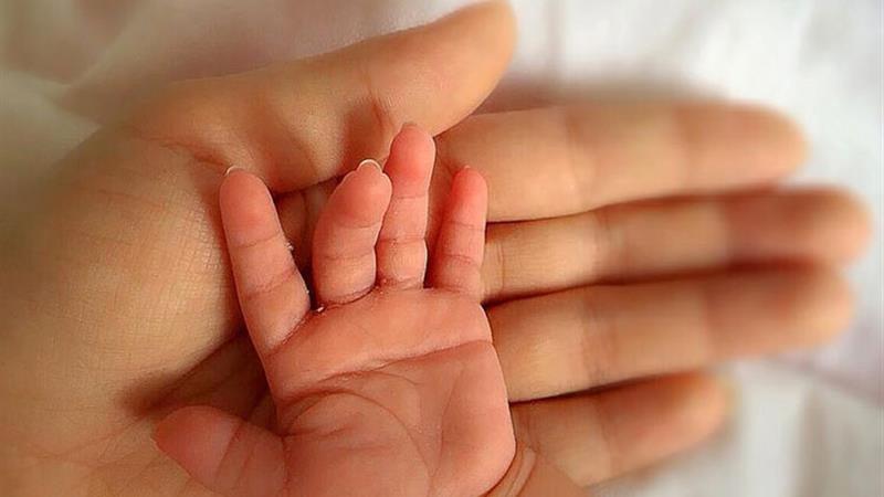 نرخ باروری در زنجان کاهش یافته است