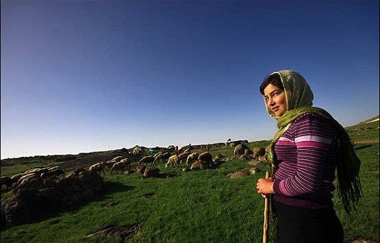عکس/ عشایر دشت مغان