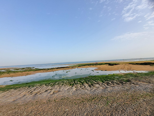 همه چیز درباره روستای نقاشه قشم؛ مقصدی آرام در دل جزیره