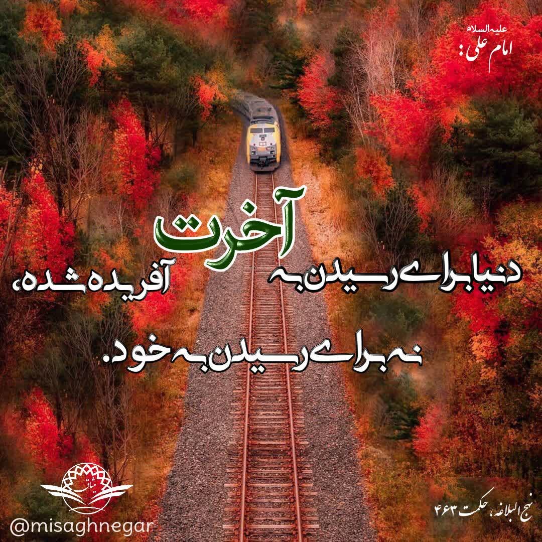 حکمت/ خلقت دنیا برای آخرت