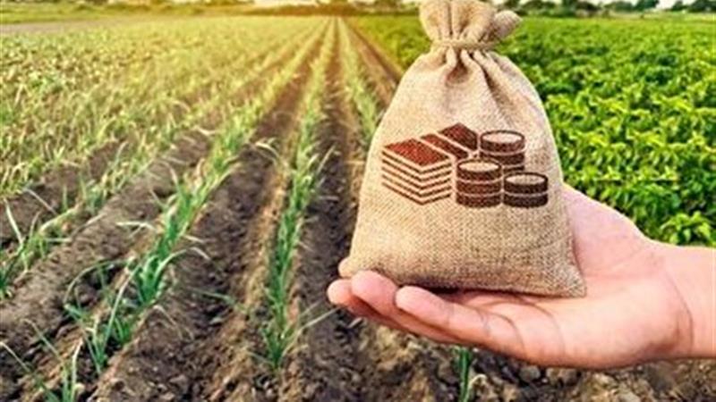 تمرکز بنیاد علوی به اشتغال‌آفرینی در روستاهای مرکزی