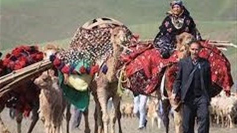 جاده چالوس به دلیل کوچ فصلی عشایر یک روز بسته می‌شود