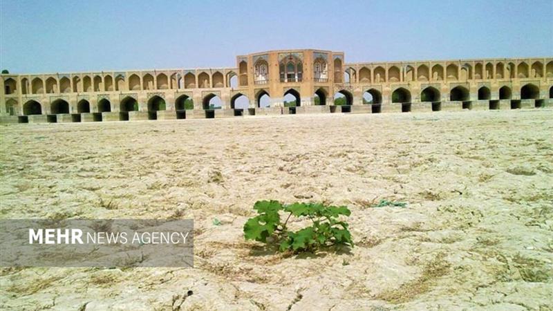 درختان کهنسال اصفهان از رنج بی آبی زاینده‌رود می‌خشکند