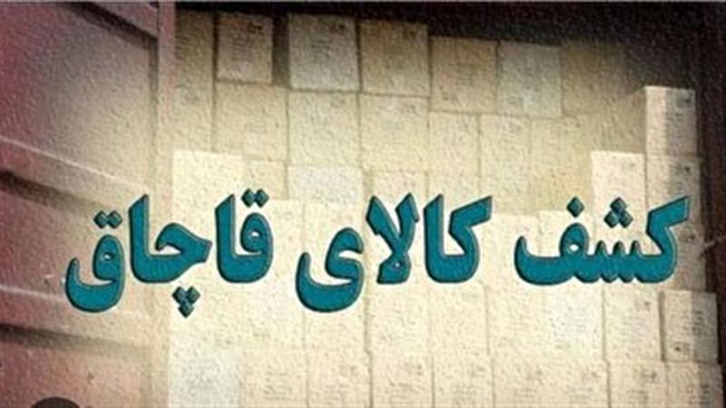 کشف محموله ۳۱ تنی مرغ منجمد قاچاق