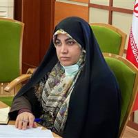 لزوم اقدام هماهنگ دولت وشهرداری تهران درباره مسافربرهای شخصی