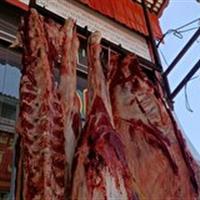 توزیع گوشت های پویش نذر قربانی در سمنان