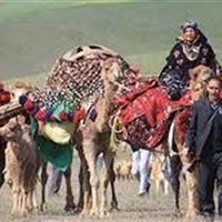 جاده چالوس به دلیل کوچ فصلی عشایر یک روز بسته می‌شود