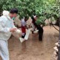 امدادرسانی به ۸۰ نفر متاثر از سیل در شهرستان درمیان