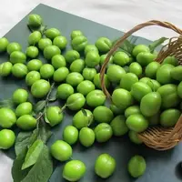 آذربایجان شرقی با تولید ۳۳ هزار تن، قطب تولید گوجه سبز ایران
