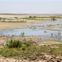 تبدیل یک میلیون هکتار تالاب‌ به کانون گردوغبار/ کاهش ۴۵ سانتی‌متری تراز دریاچه ارومیه