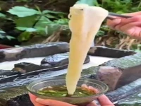 رستورانی در کیوتو با سرو عجیب غذا
