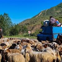 اتخاذ تدابیر لازم برای کوچ ایمن عشایر در جاده کرج - چالوس