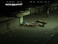مردی در خیابانِ هند از حمله شیر نجات یافت!